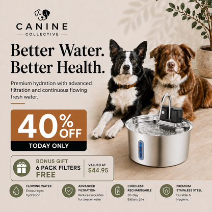 Canine Collective Water Fountain