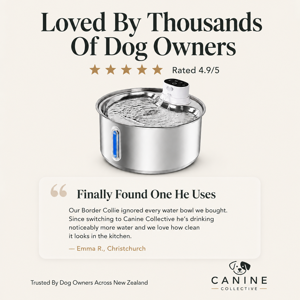 Canine Collective Water Fountain