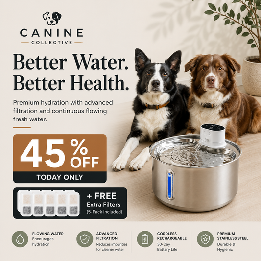 Canine Collective Water Fountain
